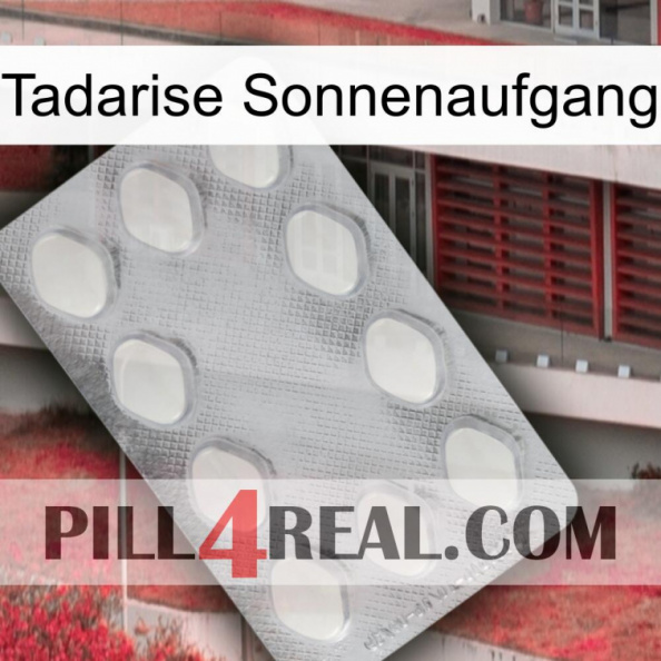 Tadarise Sunrise 16.jpg